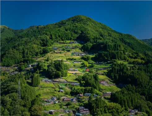 Ochiai Village (Iya Valley)