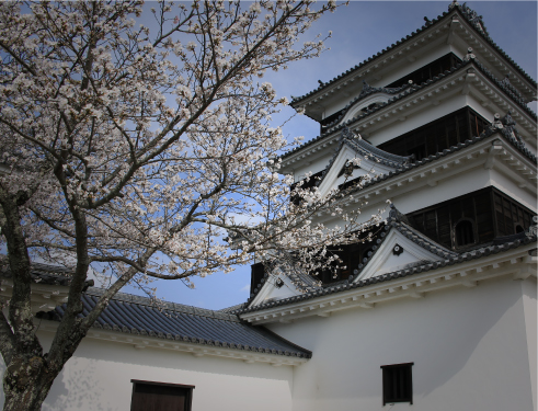 Ozu Castle