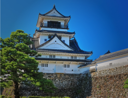 Kochi Castle