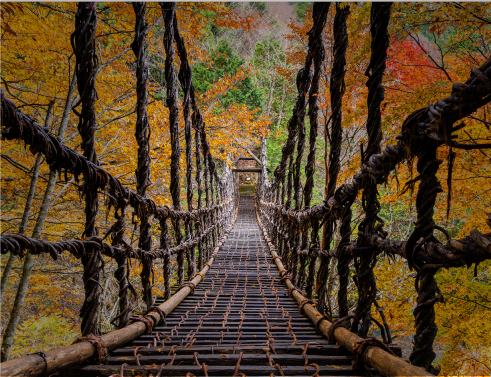 祖谷葛藤橋